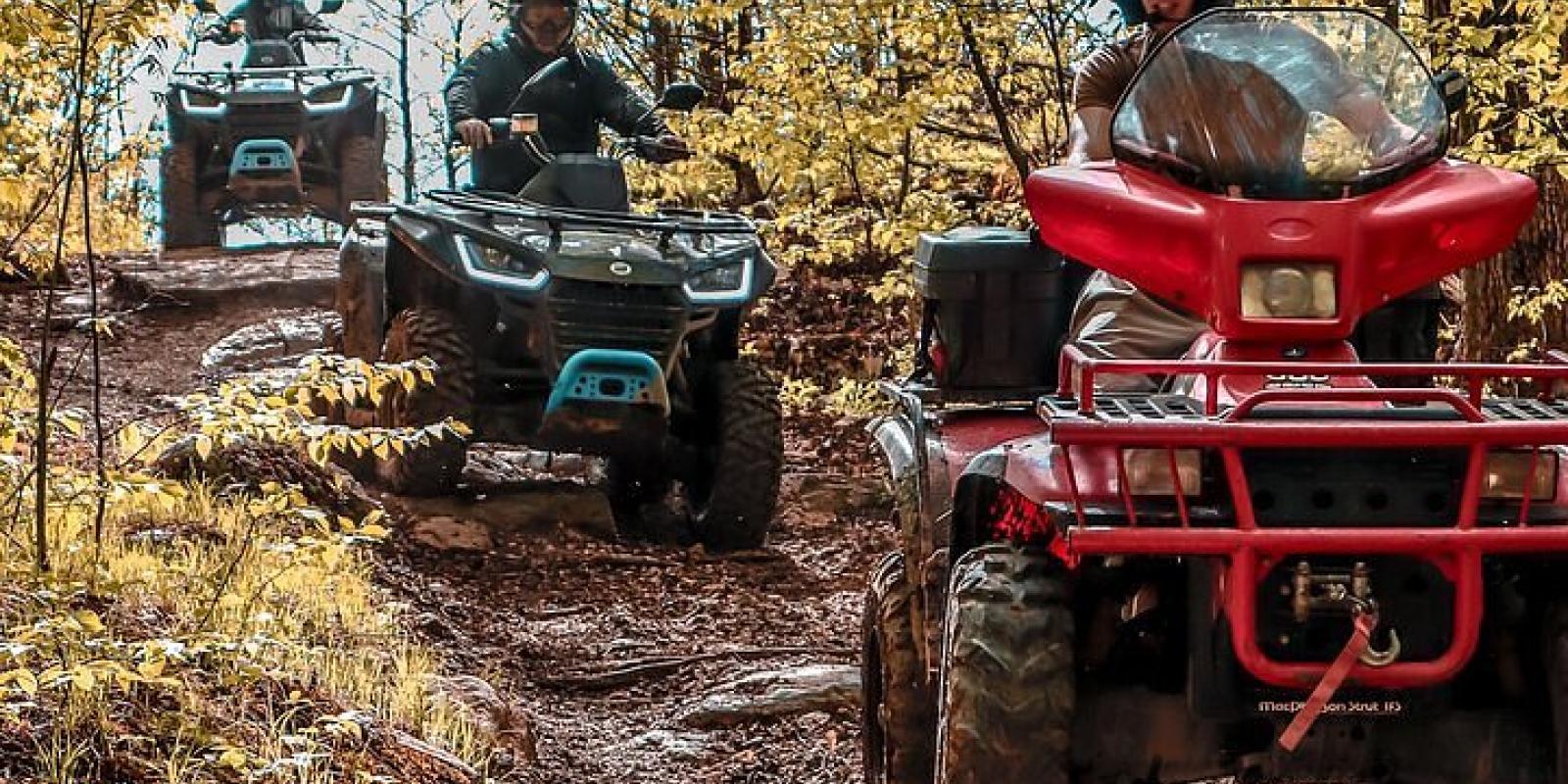 ATV, dirt bikes, Snow mobile and motocross  Image